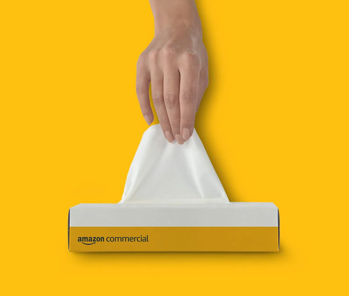 AmazonCommercial Fazzoletti per Viso, Premium 2 Veli, 4000 Strappi (40 Confezioni da 100), Dimensioni Foglio: 20cm x 21cm
