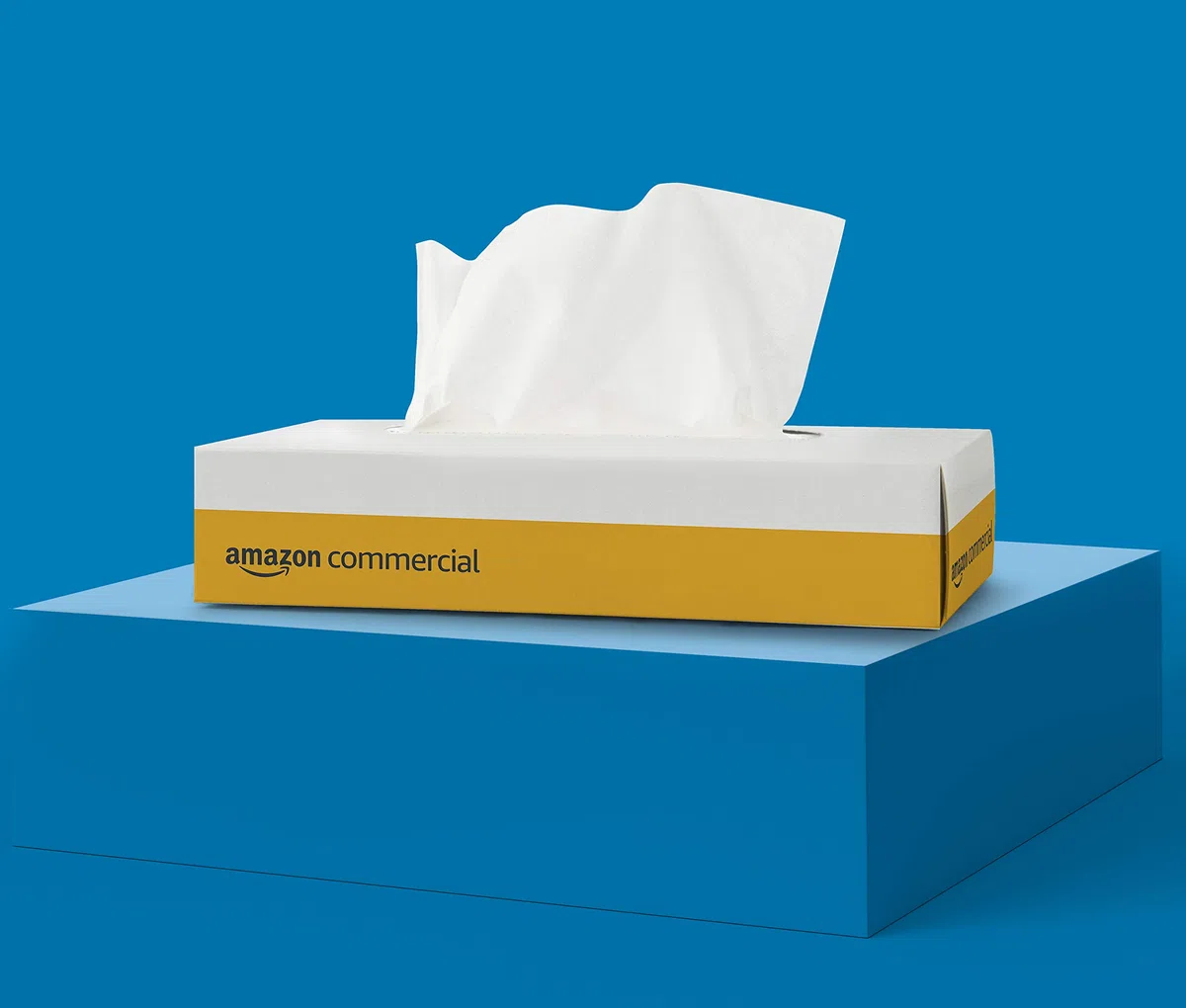 AmazonCommercial Fazzoletti per Viso, Premium 2 Veli, 4000 Strappi (40 Confezioni da 100), Dimensioni Foglio: 20cm x 21cm