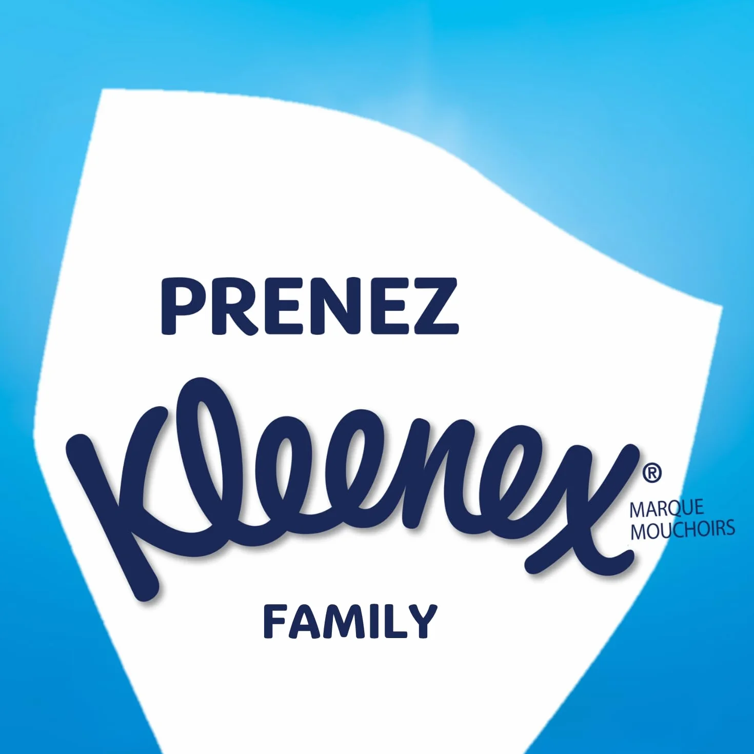 KLEENEX - Fazzoletti scatola maxi-pack Family (15 scatole da 128 fazzoletti) - formato ideale per tutta la famiglia - Made in France