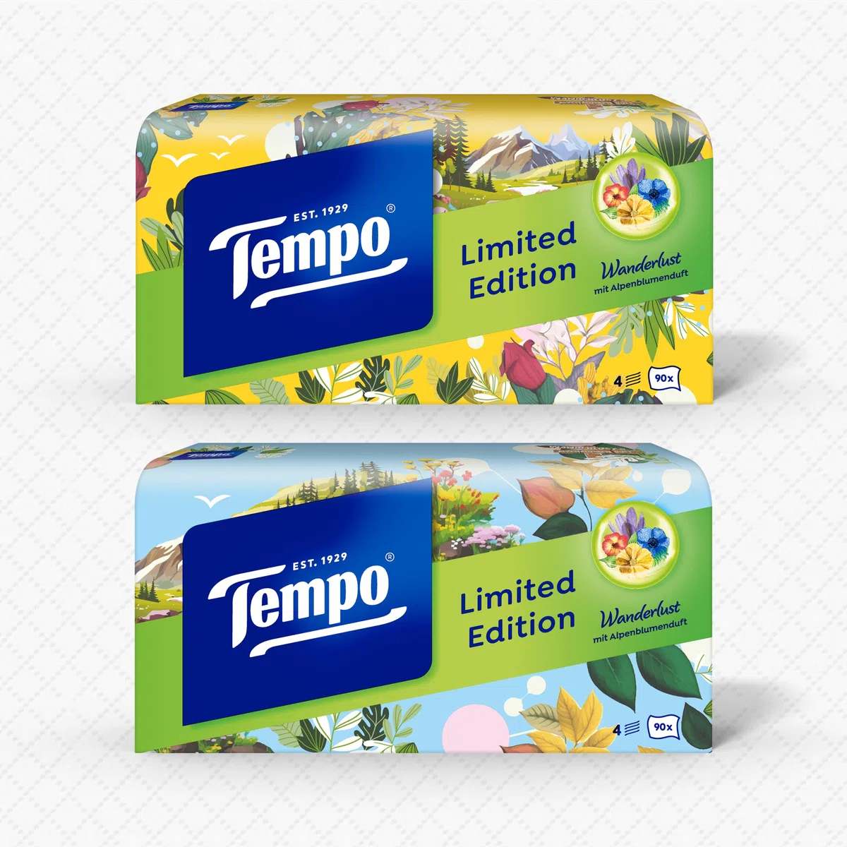 Tempo Confezione da 6 confezioni da 2 confezioni da 90 panni