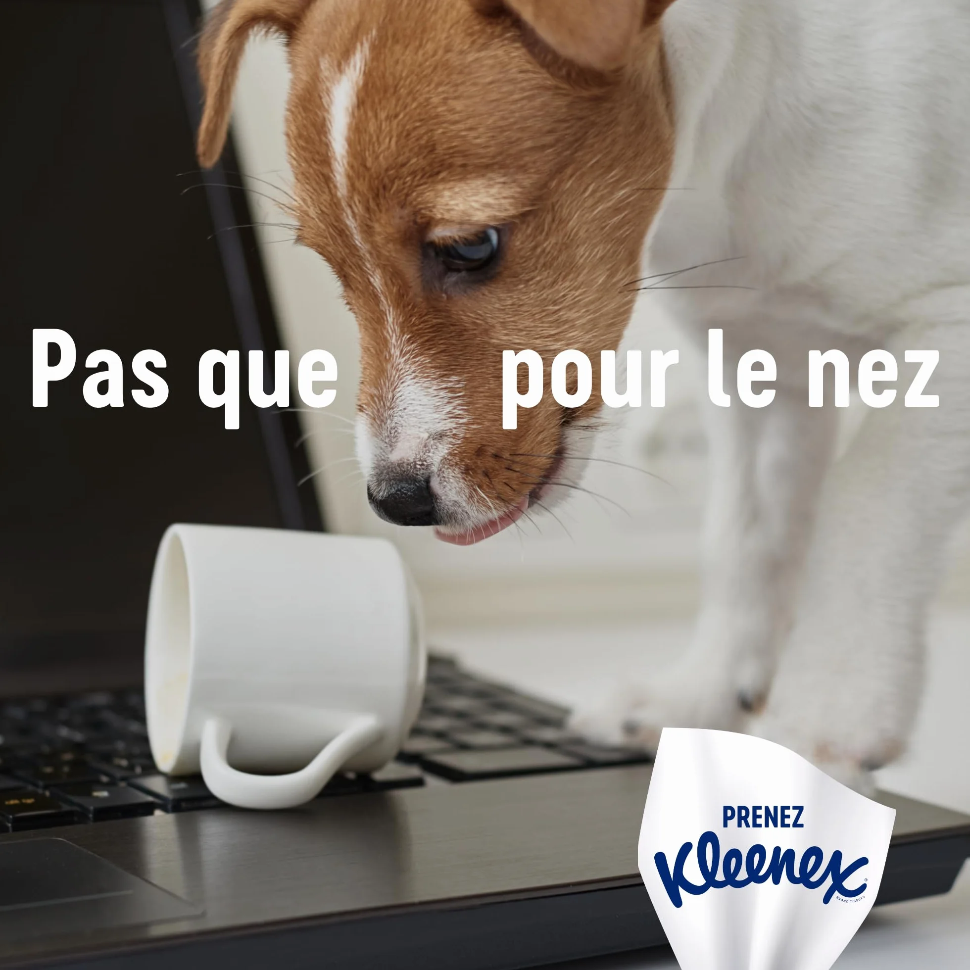 KLEENEX - Fazzoletti scatola maxi-pack Family (15 scatole da 128 fazzoletti) - formato ideale per tutta la famiglia - Made in France