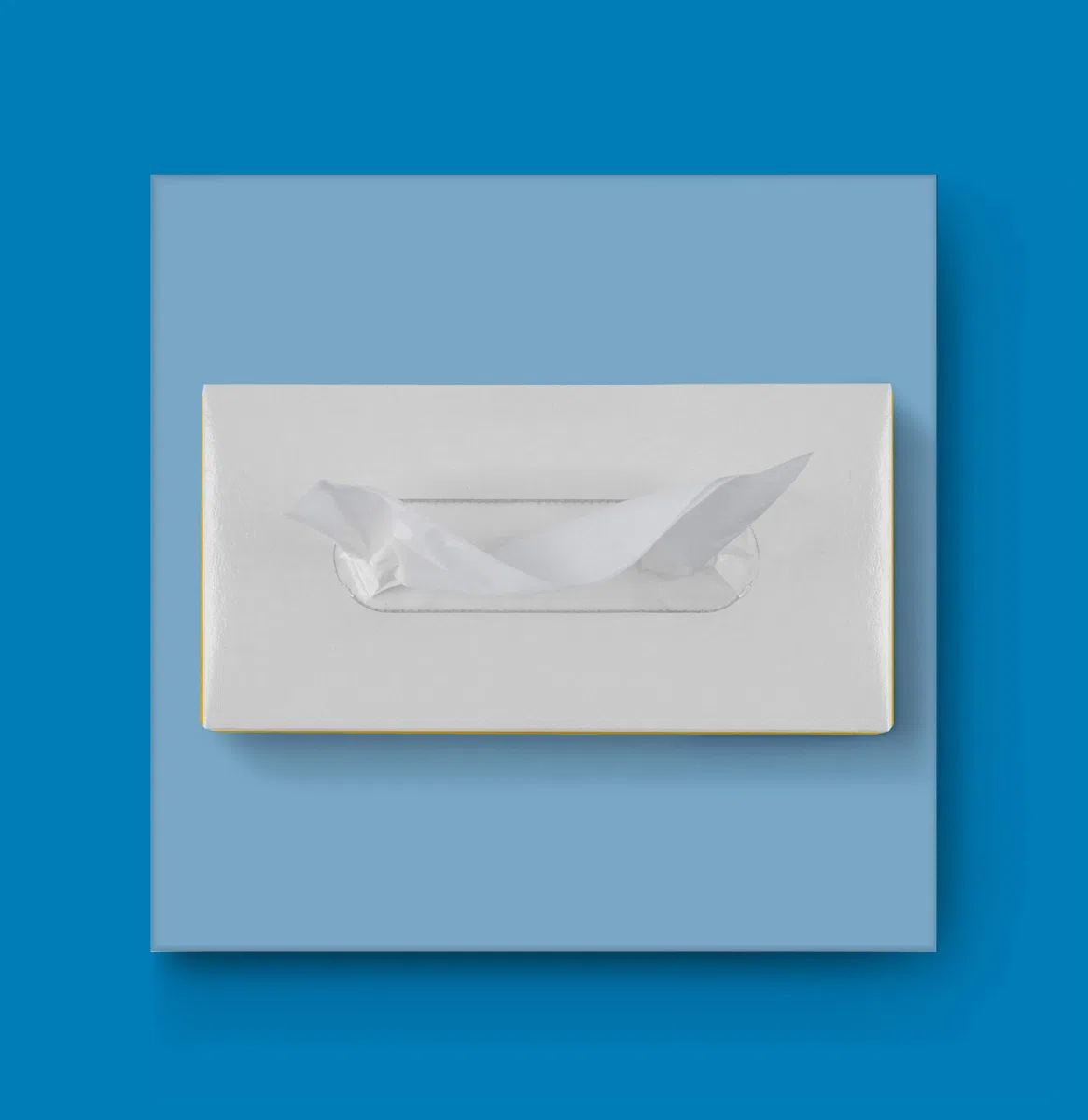 AmazonCommercial Fazzoletti per Viso, Premium 2 Veli, 4000 Strappi (40 Confezioni da 100), Dimensioni Foglio: 20cm x 21cm